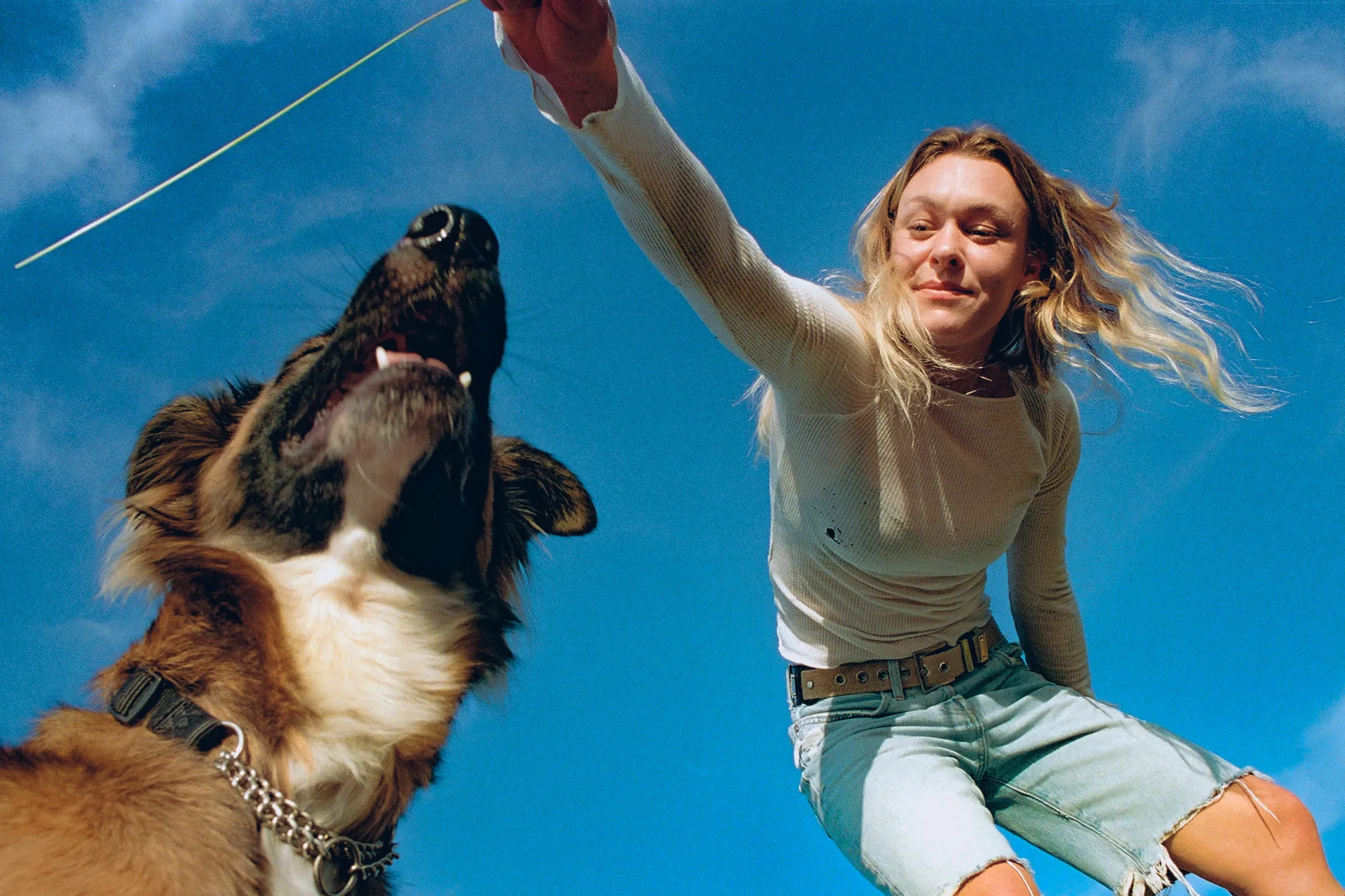 Suburban homes with white picket fence